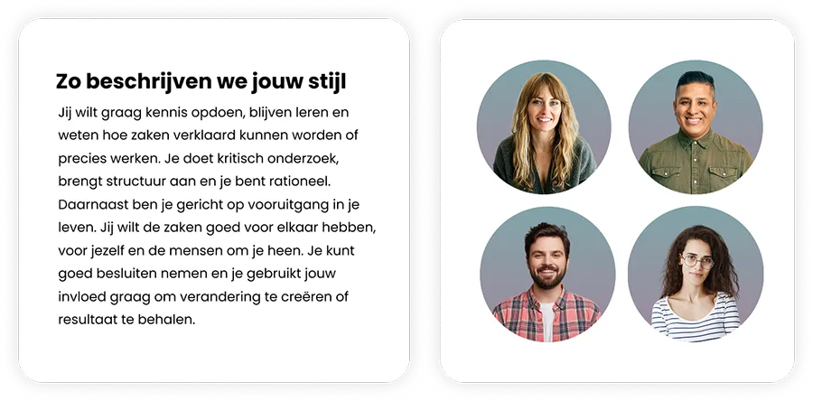 vipd talentenscan - zo beschrijven we jouw stijl
